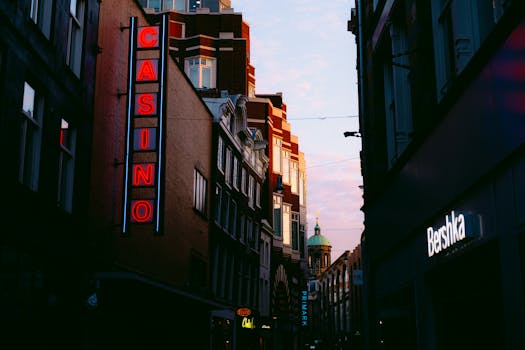 Kasino Pelejä: Katsaus Suosituimpiin Slotpeleihin Ja Kasinokokemuksiin