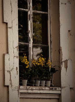 Yrityslainat Suomessa: Palvelut, Hakeminen Ja Edut