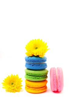 Fraumzi Casino Kokemuksia: Arvostelu Ja Pelaajakokemukset