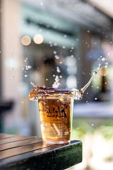 West Casino Kokemuksia: Tarkastelu Ja Kokemukset