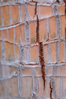 NetTipokeri Arvostelut – Parhaat Sivustot Ja Pelaamistavat