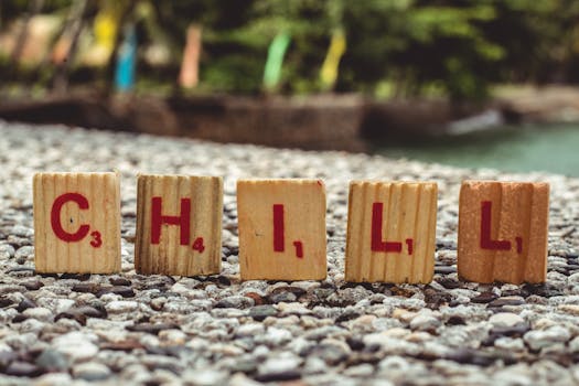 Ilmaista Rahaa Casino - Näin Saat Vapaaehtoisia Kasinoetuja Ilmaiseksi