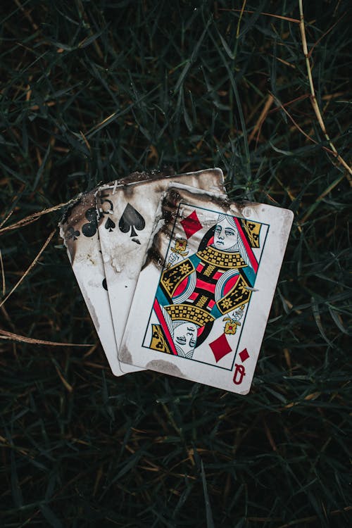 Casino-254