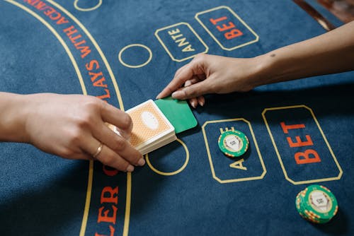 Casino-432