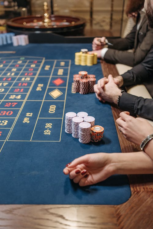 Casino-480
