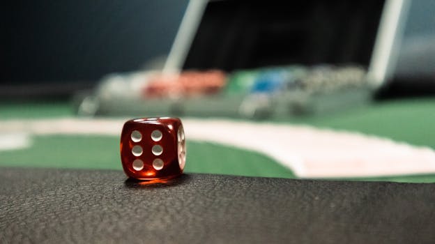 Casino-7365
