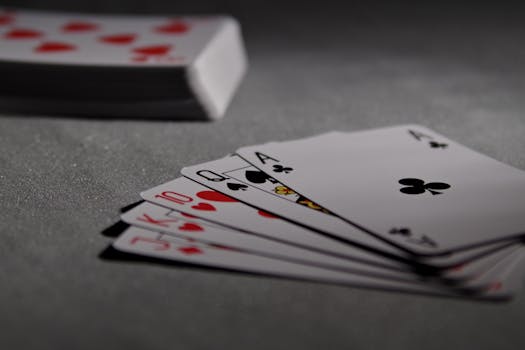 Casino-8217