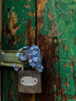 S Pankki Käteiskortti: Opas Ja Käyttövaihtoehdot