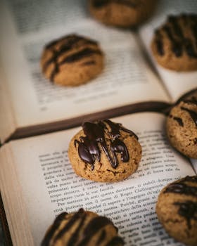 Vippi Laina Ilman Luottotietoja: Tietoa Ja Mahdollisuuksia