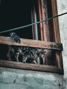 Lainaa 100e Heti - Näin Saat Rahaa Nopeasti Ja Helposti