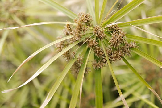 Pikavippi Alle 20 Vuotiaalle: Opas Nuorille Lainaedut Ja Vinkit